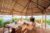 Villa 1BR is Beautiful at Seminyak Bali – Bali – Indonesia