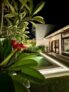 Villa Licia – Bali – Indonesia
