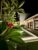 Villa Licia – Bali – Indonesia