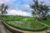 Cheerful 1-Bedroom Private Pool Villa in Ubud – Bali – Indonesia
