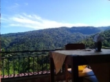 Aris Homestay and Warung Made – Bali – Indonesia