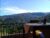 Aris Homestay and Warung Made – Bali – Indonesia