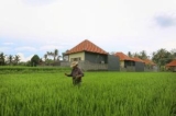 Asri Sari Villa Ubud – Bali – Indonesia