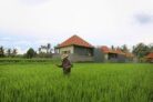 Asri Sari Villa Ubud – Bali – Indonesia