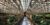 The Meru Sanur – Bali – Indonesia
